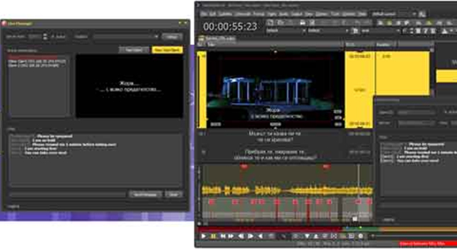 Chinese subtitling formats