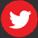 Chinese voice over twitter